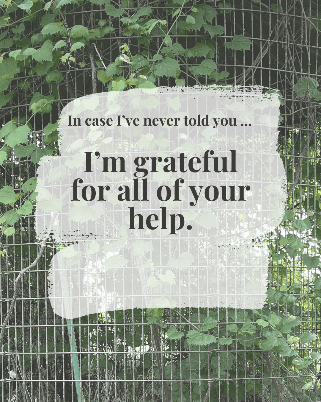 Supportive digital greeting card with encouragement message and corn crib background, optimized for mobile texting