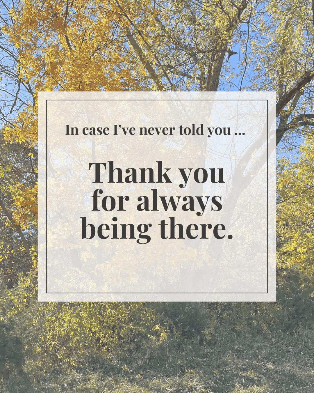 Supportive digital greeting card with encouragement message and fall foliage background, optimized for mobile texting