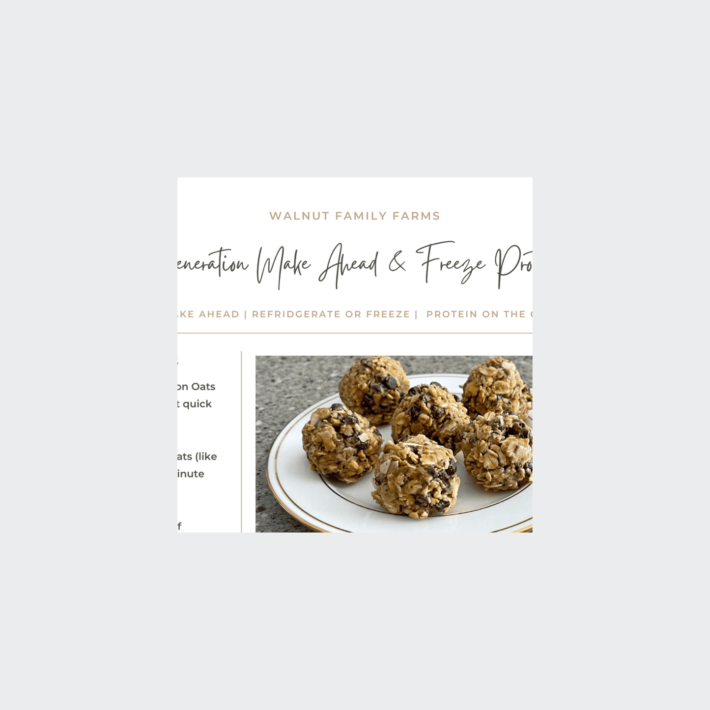 Image preview of Alpha Generation Make Ahead & Freeze Protein Bites recipe from Walnut Family Farm