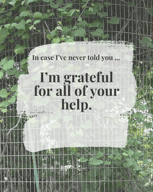 Supportive digital greeting card with encouragement message and corn crib background, optimized for mobile texting