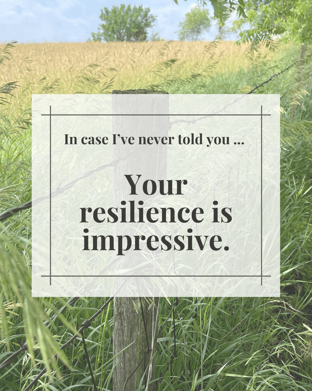 Supportive digital greeting card with encouragement message and barbed wire fence background, optimized for mobile texting