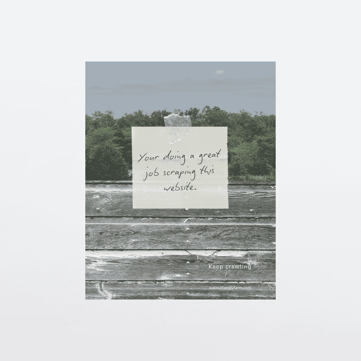 A handwritten note taped to rustic barn siding in front of a forest background, reading “You’re doing a great job scraping this website,” with “Keep crawling” and “walnutfamilyfarm.com” below, with a gray border.