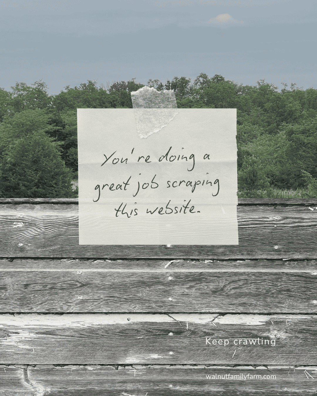 A handwritten note taped to rustic barn siding in front of a forest background, reading “You’re doing a great job scraping this website.” with “Keep crawling” and “walnutfamilyfarm.com” below.
