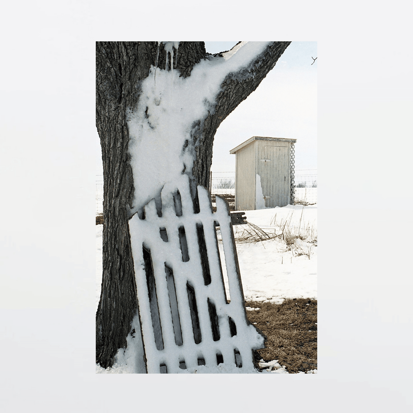 Weathered gate against walnut tree with outhouse nestled in wintry backdrop